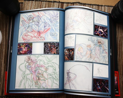 Mahou Shoujo Ai Artbook Review