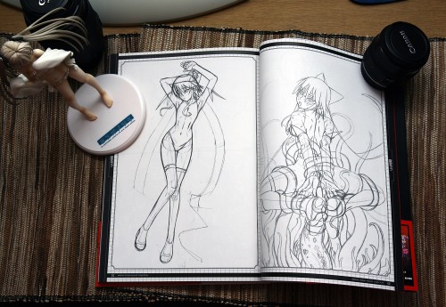 Mahou Shoujo Ai Artbook Review