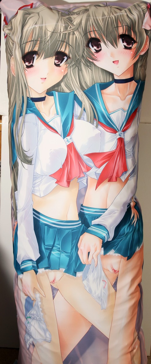 Illust Guerrilla Nagomi and Sono Dakimakura Review