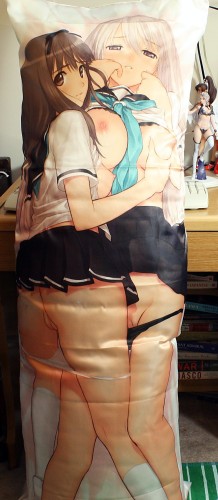 Tony Taka C75 Clannad Dakimakura Review