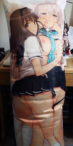 Tony Taka C75 Clannad Dakimakura Review