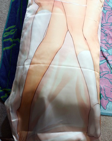 Tony Taka C75 Clannad Dakimakura Review