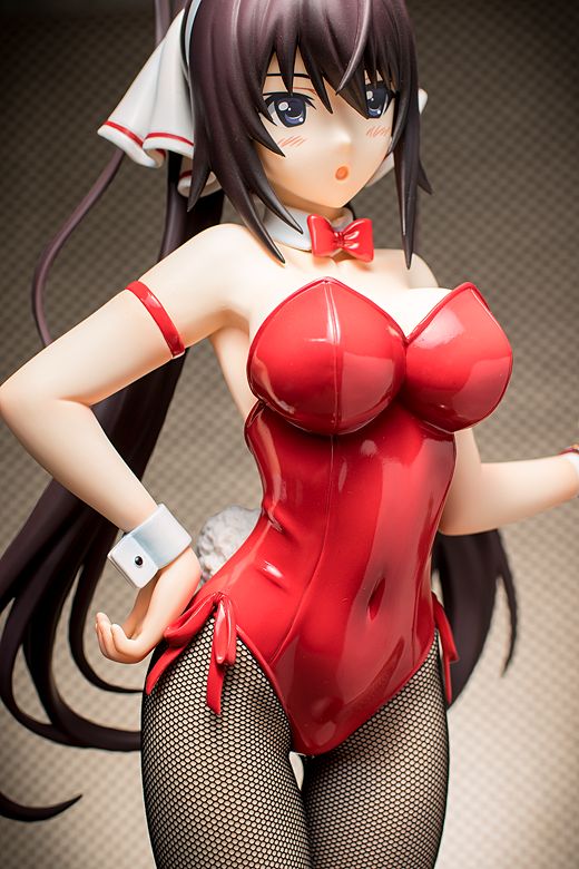 Houki Shinonono figure