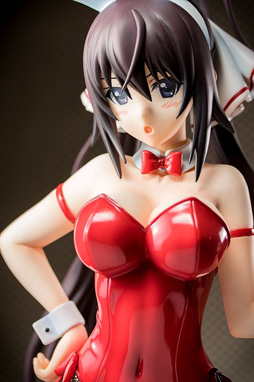 Houki Shinonono figure