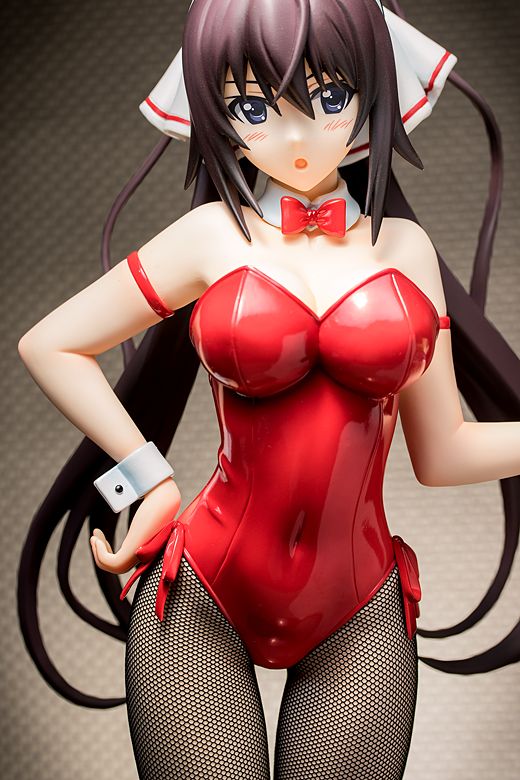 Houki Shinonono figure