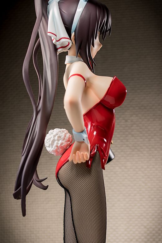 Houki Shinonono figure