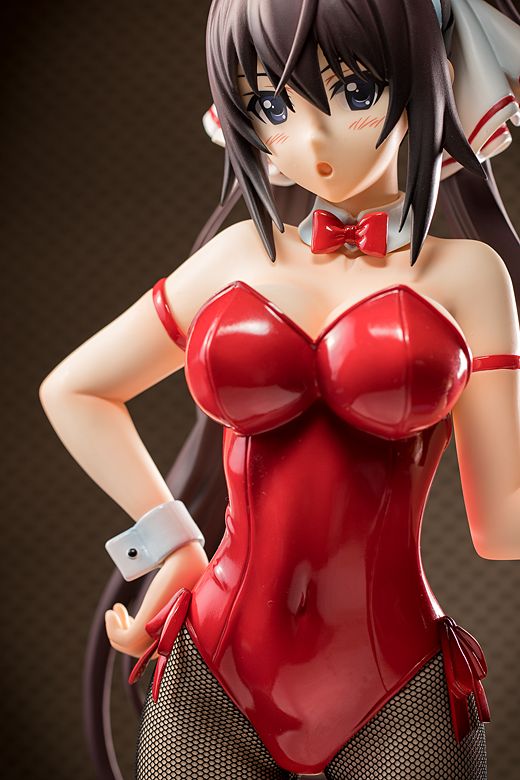 Houki Shinonono figure