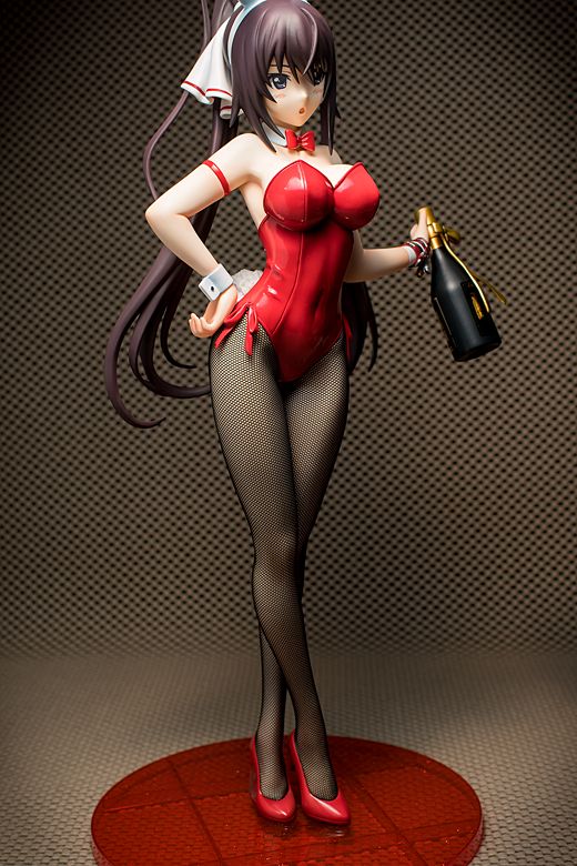 Houki Shinonono figure