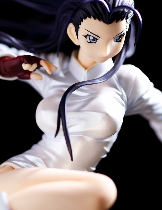 Alter Kakouen Myousai from Ikki Tousen Figure Review