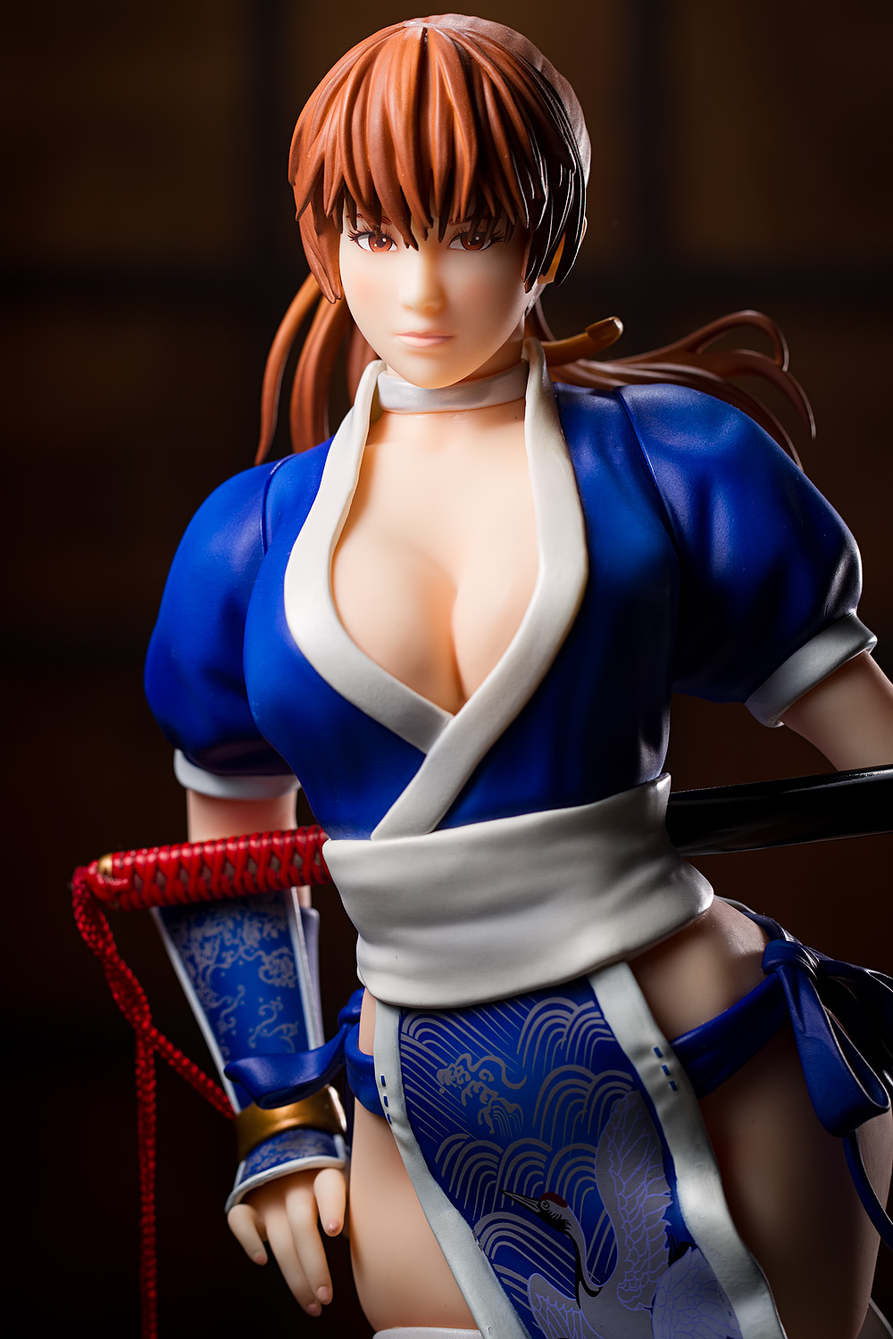 Dead Or Alive 5 Kasumi