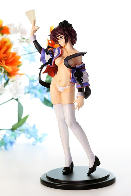 E2046 Volks Nanjyou Ran from Sengoku Rance Review