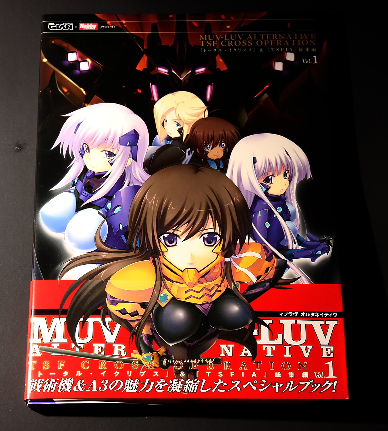 Shin Ikki tousen Battle Vixens Vol.1-4 Complete Full Set Japanese Manga  Comics